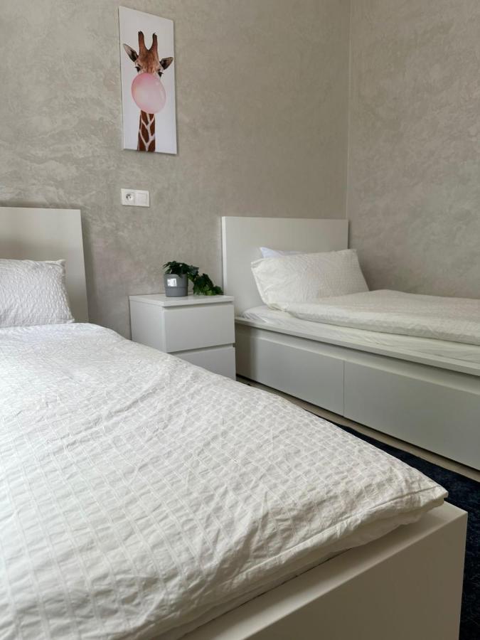 Ifrane Apartment With Swimming Pool المظهر الخارجي الصورة